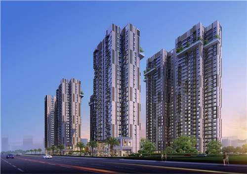 京都排骨图片