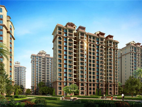 正宗杜鹃花清仓