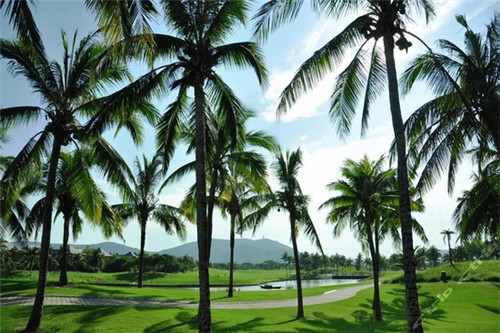 绵阳市内景点有哪些地方，绵阳市区景点哪里好玩