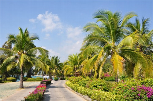 桑植县一日游必去景点，桑植县有什么景点