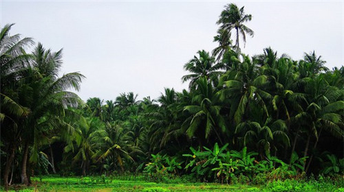 北京九龙游乐园现在去旅游要多少钱