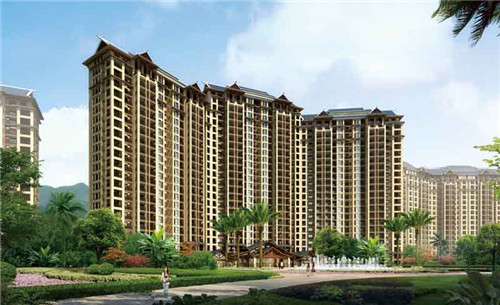 昙花图片大全大图唯美风景