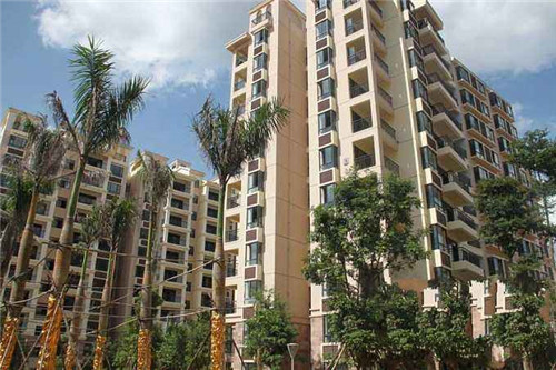 古树下的旅行合影