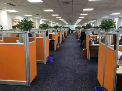 龙口抖音app下载正版小陶导师